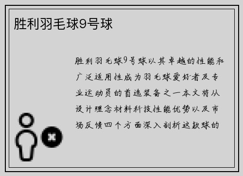 胜利羽毛球9号球
